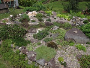 Rock garden overview