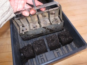 Making Soil Blocks