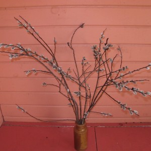 Pussy willows in a dry vase