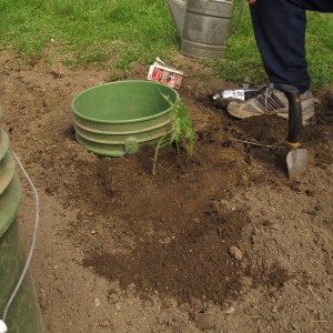 Bucket watering system