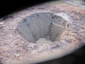 Crater left by tree spade