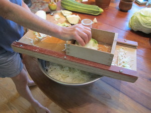 Grating cabbage on a kraut board