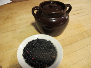 Dry beans from Henry's garden, and bean pot