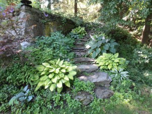 Stone steps draw visitors up to a new level